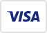 Visa icon