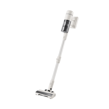 Roborock H60